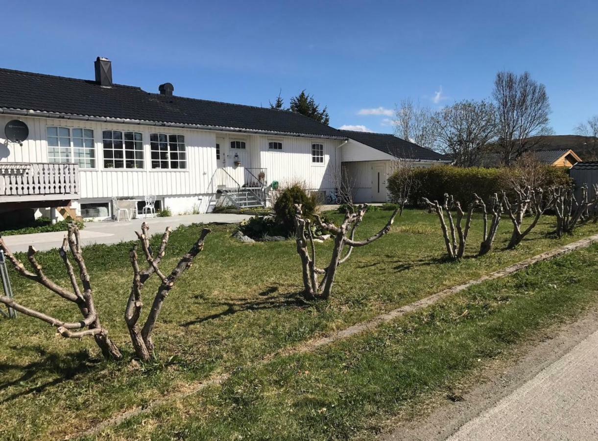 Cozy & Private In The Middle Of Lofoten Leknes